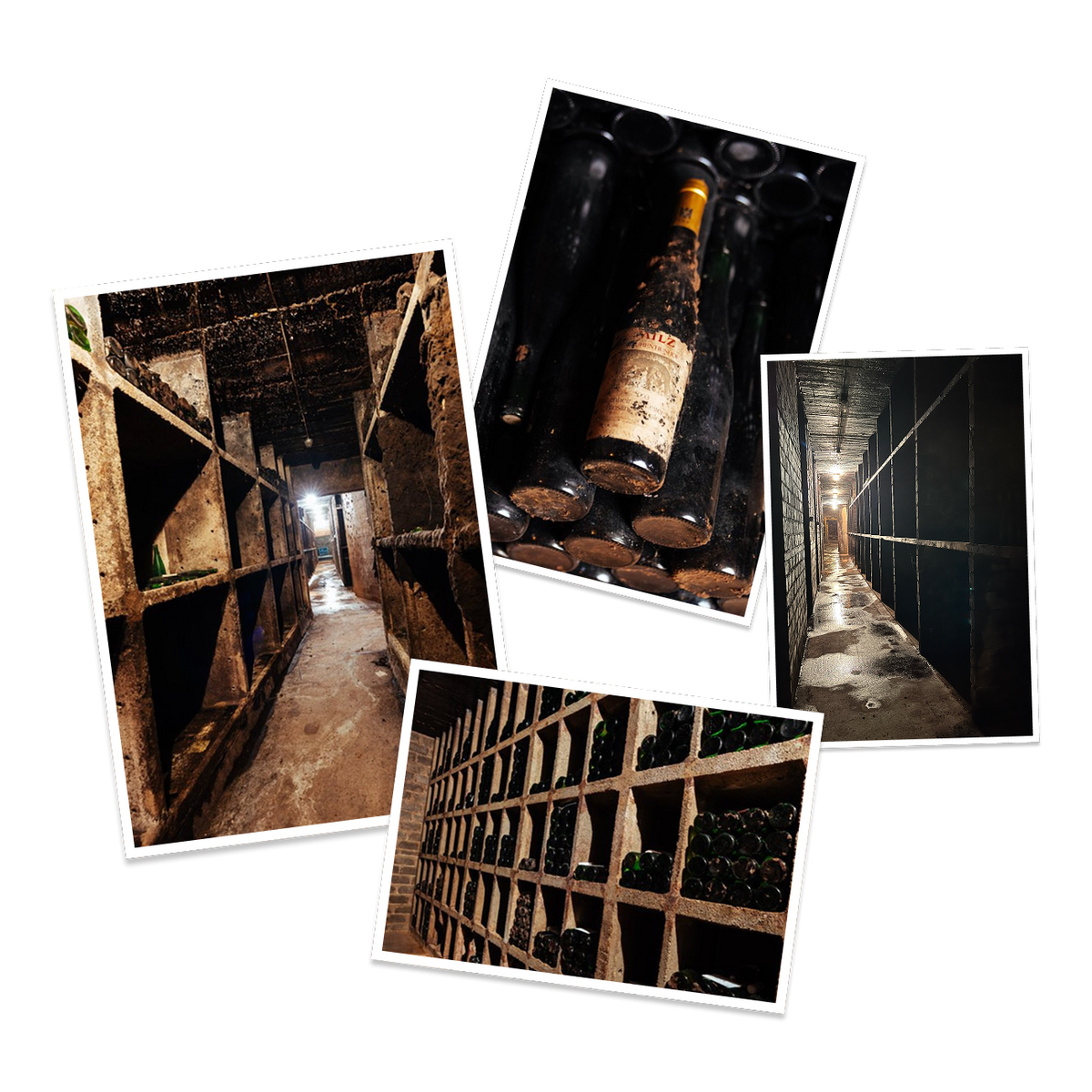 Construction of the historical wine cellar in 1680