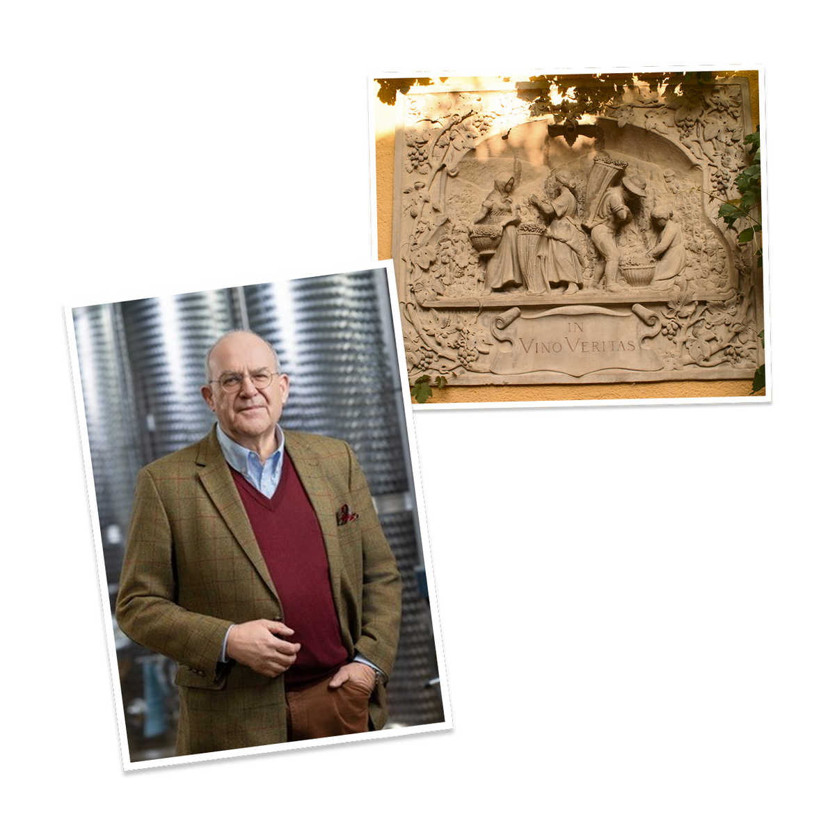 500 years of viticulture, anniversary 2020